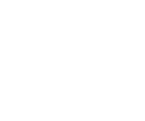 Ideas and Solutions LLC
